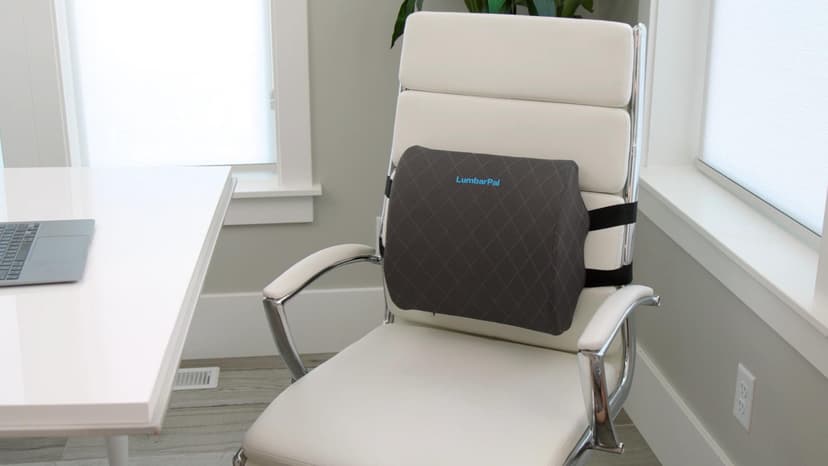 Lumbar Support Pillow for Office Chair Back Support Lumbar Pillow for Car, Gaming, Office Chair - Improve Sitting Posture & Back Pain Relief, Memory Foam, Adjustable Straps, Grey