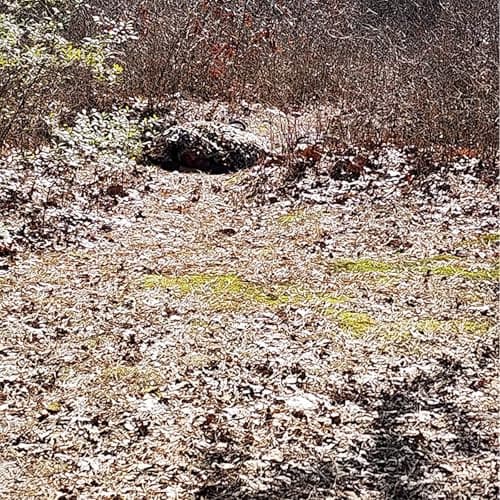 LOOGU Camo Netting, Camouflage Net Blinds Great for Sunshade Camping Shooting Hunting