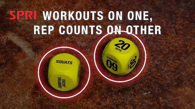 SPRI Exercise Dice (6-Sided) - Game for Group Fitness & Exercise Classes - Includes Push Ups, Squats, Lunges, Jumping Jacks, Crunches & Wildcard (Includes Carrying Bag)