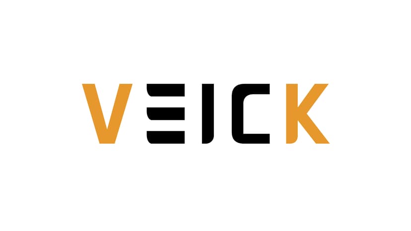 VEICK Resistance Bands, Exercise Bands, Workout Bands, Resistance Bands for Working Out with Handles for Men and Women, Exercising Bands for Fitness Weights Work Out at Home