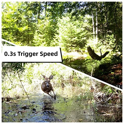 2 Pack Trail Cameras with Night Vision Motion Activated Waterproof,30MP Game Camera,1080P HD Trail Cam with SD Card for Wildlife Monitoring,Outdoor Scouting & Security