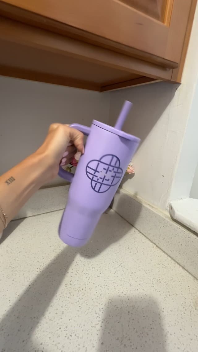 BPA Free, Silicone Straw, Handle, Cupholder Friendly, Dishwasher Safe, For Office, Home, Travel, Work, Gym, Fitness Zak Designs Harry Potter 30oz Spill-Proof Insulated Stainless Steel Tumbler B0FT7C47X5