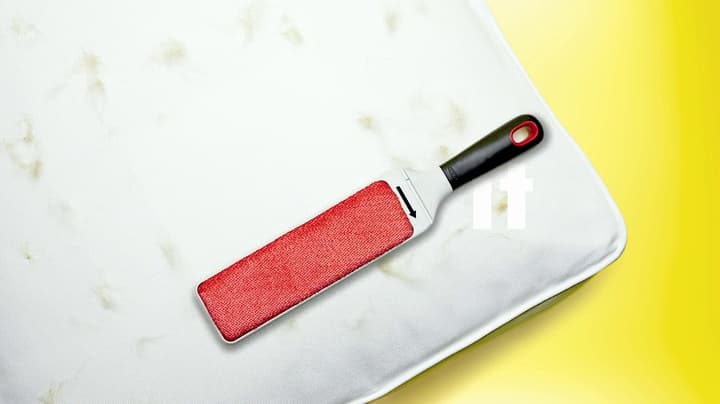 OXO Good Grips Furlifter Pet Garment Brush Hair Remover for Clothing, White, Garment Brush