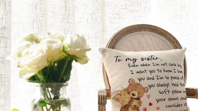 AVOIN colorlife to My Sister Throw Pillow Cover, 18 x 18 Inch Christmas Sister's Gift Lady Girls Birthday Cushion Case from Sister Brother