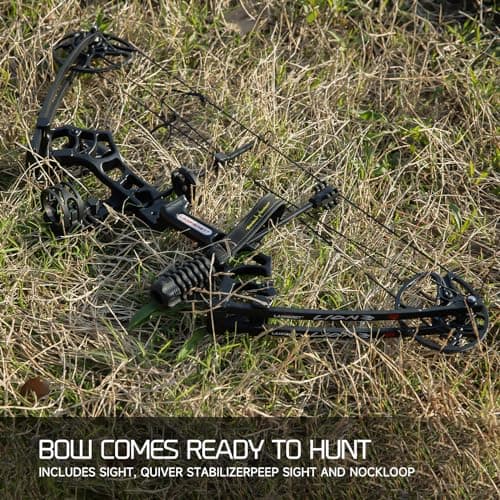 Lanneret Compound Bow and Archery Sets - Right Hand Archery Compound Bows 0-70 lbs Draw Weight Adjustable for Adults and Beginners，25"-31" Draw Length，up to IBO 320 fps，Archery Hunting Bow Set