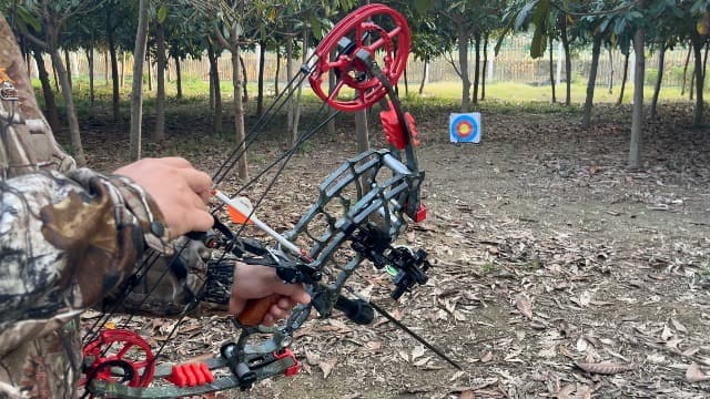 Archery Dual-use Compound Bow Set for Arrows and Steel Ball,30-65lbs Adjustable,Hunting Bows,Short-Axis Compound Bow,for Outdoor Hunting Target Shooting Practice