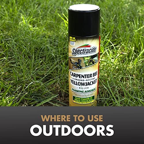 Spectracide Carpenter Bee And Ground-Nesting Yellowjacket Killer Foaming Aerosol 16 Ounces, Expands To Where Insects Live, Yellow
