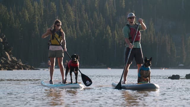 Ruffwear, Float Coat Dog Life Jacket, Premium Buoyancy Swim Vest with Lift Handle, Secure Fit & Reflective Trim, Adjustable Flotation for Swimming, Boating, & Outdoor Adventures, Wave Orange, Large