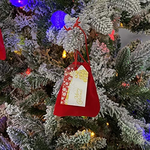 None Ultimate Naughty List Lump of Coal Christmas Surprise! Beautiful Plush Red Velvet Jewelry Bag Filled with Real Authentic Coal and Designer Gift Tag!