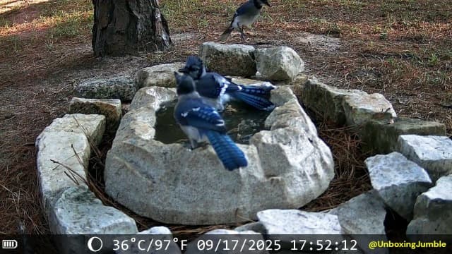 MAXDONE Solar Trail Camera WiFi Bluetooth - 4K 64MP Game Camera with 6000mAh Battery, Rechargeable Trail Cam with Night Vision Motion Activated IP66, Wildlife Cameras Deer Cams for Outdoor Backyard