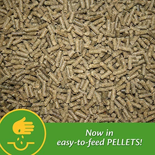 Farnam Vita Plus Balanced Multi-Vitamin & Mineral Horse Supplement, Provides Balanced Nutrition to Support Overall Health and Performance, 3.75 pounds, 30 Day Supply