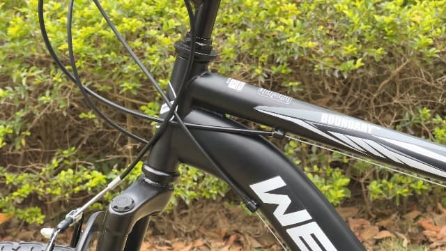 WEIZE Mountain Bike, 26/27.5 inch Outdoor Cycling Bike,18-Speed/High-Carbon Steel/Dual Full Suspension, Adjustable Ergonomic Seat for Men Women Adult, MTB Bicycle with Suspension Fork,Sleek Colors