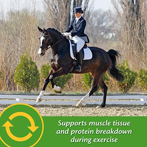 Farnam Vita Plus Balanced Multi-Vitamin & Mineral Horse Supplement, Provides Balanced Nutrition to Support Overall Health and Performance, 3.75 pounds, 30 Day Supply