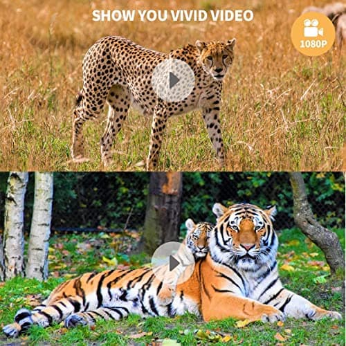 2 Pack Trail Cameras with Night Vision Motion Activated Waterproof,30MP Game Camera,1080P HD Trail Cam with SD Card for Wildlife Monitoring,Outdoor Scouting & Security