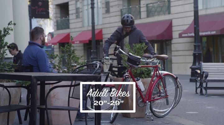 Bell Standard Bicycle Inner Tubes