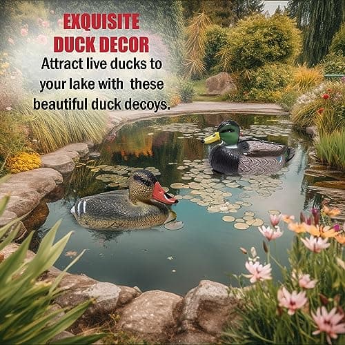 Duck Decoys for Hunting | Floating Duck Decoy for Pool, Pond & Lake