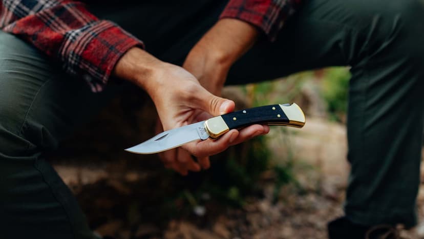 Buck Knives 110 Folding Hunter Knife, 3-3/4" Blade, Lockback Design, Ebony Handle, Brass Bolsters, 420HC Stainless Steel Clip Point Blade, Sheath Included, Hunting Knife Made in the USA, 7.2 oz