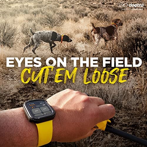 Dogtra Pathfinder 2 - Hunting Ecollar GPS Dog Training Collar with Remote, 9 Mile Range, Tracking & Containment for Medium & Large Dog Breeds, Electric GEO Fence Tracker, Stimulation, Vibration, Tone