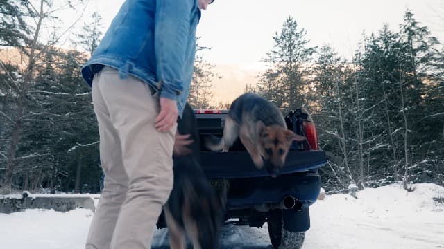 INVIROX Dog Shock Collar [Ultra K9] 124 Training Levels, 4 Powerful Modes with Night-Light and ¾ Mile Range 100% Safe Dog Training Collar for Large Dogs IP67 Waterproof (X2 Camouflage)