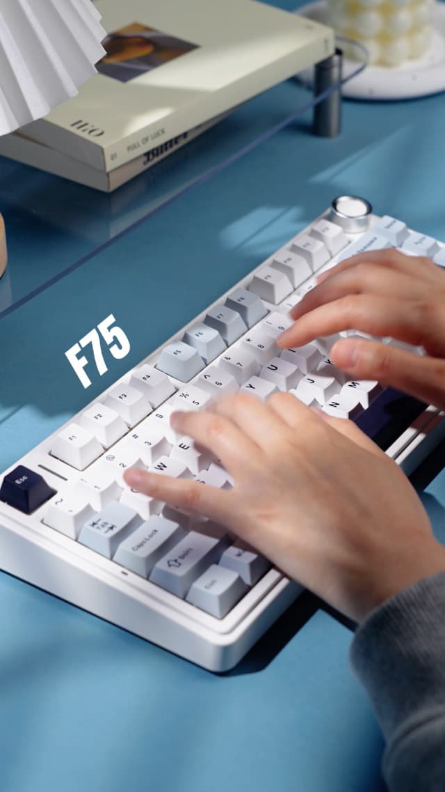 EPOMAKER x Aula F75 Gasket Mechanical Keyboard, 75% Wireless Hot Swappable Gaming Keyboard with Five-Layer Padding&Knob, BT/2.4GHz/USB-C, RGB (Light Blue, LEOBOG Reaper Switch)