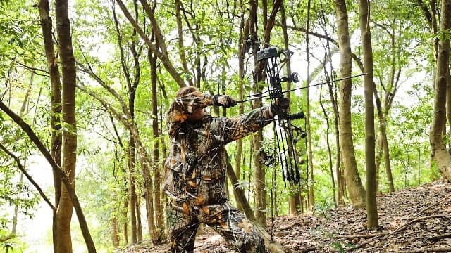 Compound Bow Package for Adults and Teens, 0-70 Lbs Draw Weight,23.5"-31" Draw Length,Limbs Made in USA,Lightweight Design,Archery Hunting Bow Set, Fully Adjustable,2024 New