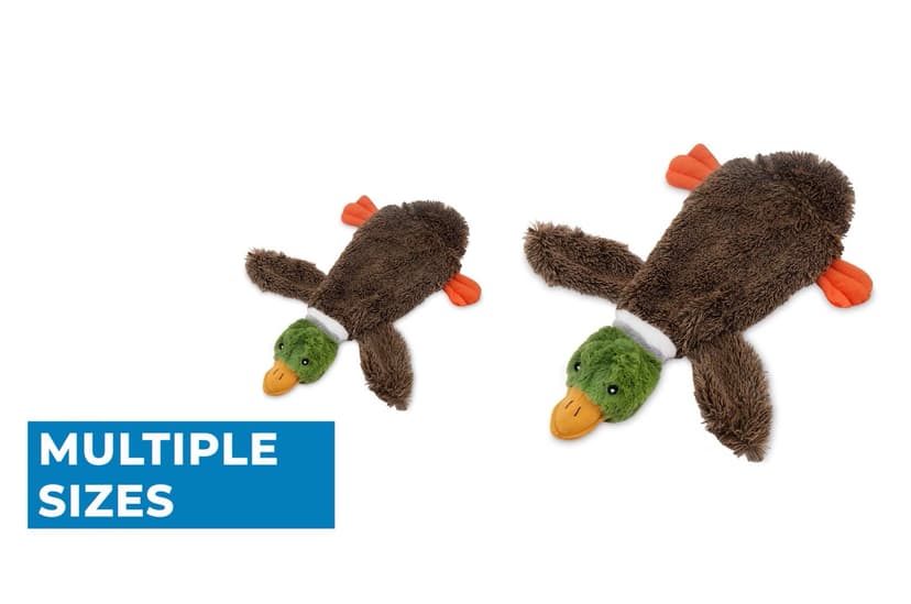 Best Pet Supplies 2-in-1 Stuffless Squeaky Dog Toys with Soft, Durable Fabric for Small, Medium, and Large Pets, No Stuffing for Indoor Play, Supports Active Biting and Play - 1Wild Duck, Small