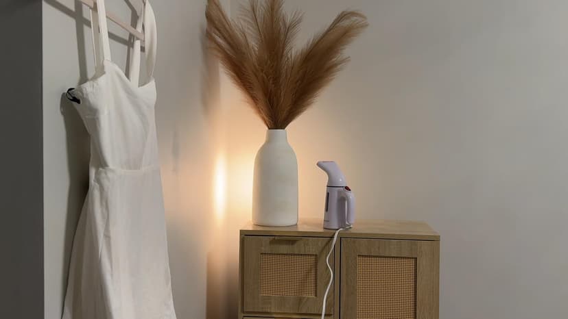 Blesgam Steamer for Clothes 700W, Fast Heat-up in 40S, 120ML Water Tank, 25g/min Strong Penetrating Steam, Portable Clothes Steamer Iron for Travel and Home(GY169)