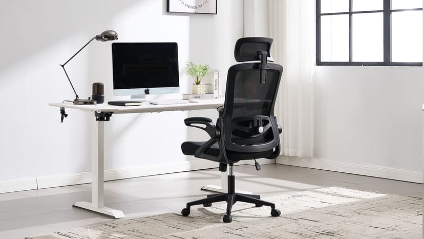 Fizzin Ergonomic Office Chair, 400 LBS Computer Chairs with Adjustable Lumbar Support, Breathable Mesh Desk Chair Ergonomic with Thickened Cushion, Comfy Home Office Desk Chair (Black)