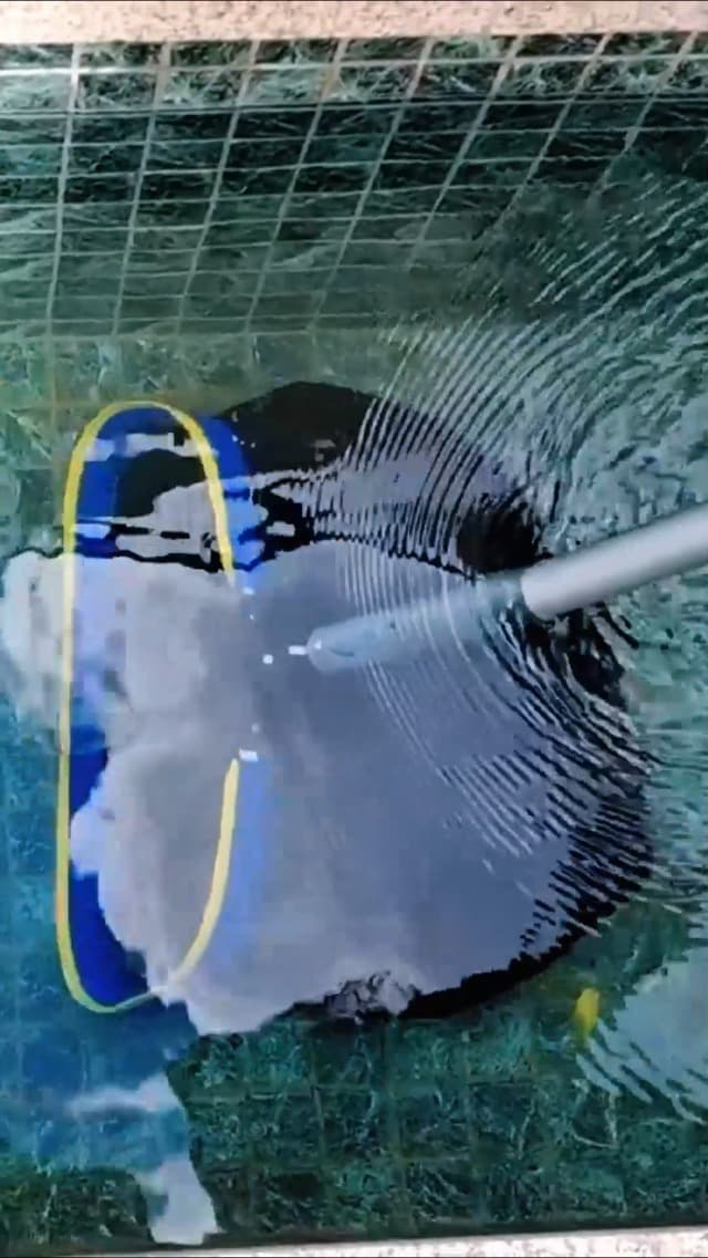 Poolvio 5-in-1 Pool Cleaning Kit - Includes Semi-Deep Skimmer Net, Aluminum Leaf Rake, 20' Pool Brush with 13ft Adjustable Pole