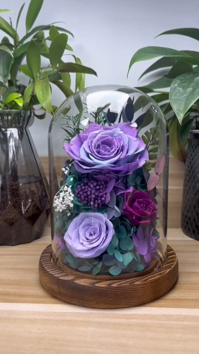 Dsuto Forever Fresh Flowers Bouquet in Glass Dome with Light, Preserved Purple Roses Gifts for Women on Birthdays, Anniversaries, Christmas, Valentine’s Day & Mother’s Day