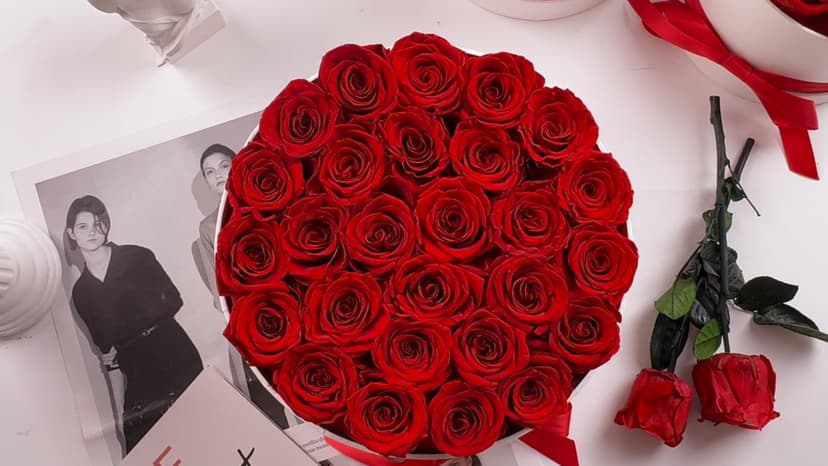 27 Forever Roses in Luxury White Box, Eternal Real Roses Gift for Women, Preserved Flowers for Delivery Prime, Anniversary, Valentine's Day, Birthday for Her (Red)