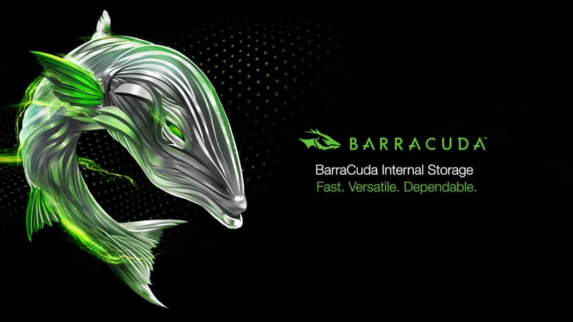 Seagate BarraCuda 8 TB Internal Hard Drive HDD – 3.5 Inch SATA 6 Gb/s, 5,400 RPM, 256 MB Cache for Computer Desktop PC (ST8000DMZ04/004)