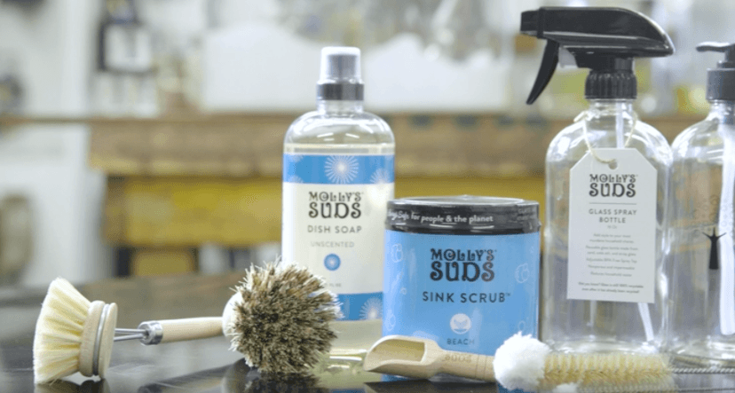 Molly's Suds Delicate Wash Liquid Laundry Soap | Clean, Simple Ingredients | Gently Removes Stains and Deodorizes | Lavender Scented, 16 fl oz