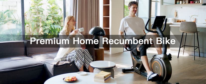 Niceday Recumbent Exercise Bike, Recumbent Bike for Home, Recumbent Stationary Bike 400LBS Weight Capacity, Magnetic Recumbent Bike with Smart APP, LCD Monitor, Heart Rate Handle