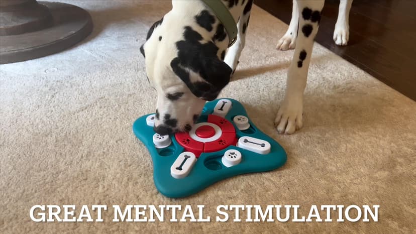 PETSTA Dog Puzzle Toys, Treat Dispensing Dog Enrichment Toys for IQ Training and Brain Stimulation, Interactive Mentally Stimulating Toys as Gifts for Puppies, Cats, Dogs B09XXPCB4T