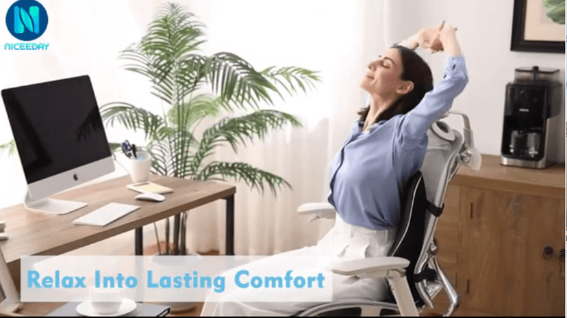 Niceeday Lumbar Support Pillow for Office Chair Car Back Support Pillow, Memory Foam Gaming Chair Desk Chair Back Cushion for Lower Back Pain Relief, Ergonomic Back Rest,Office Home Essentials