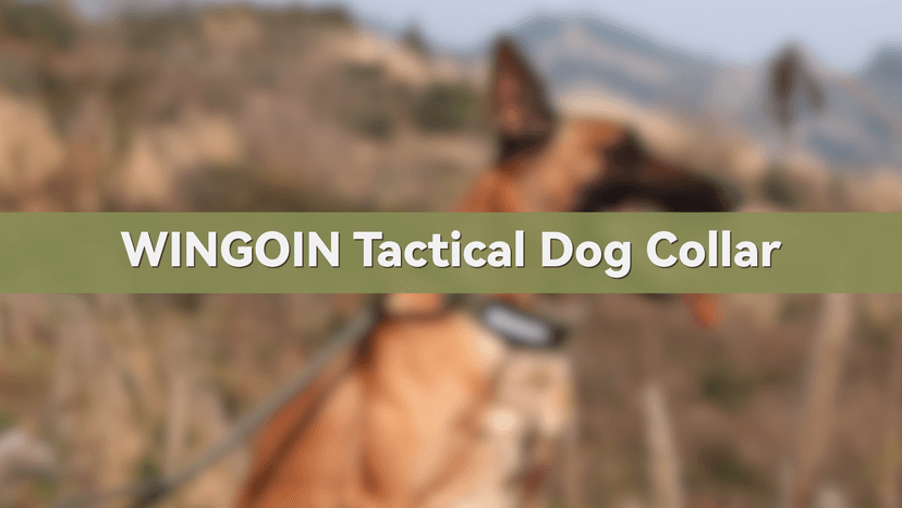 WINGOIN Tactical Dog Collar with AirTag Holder, Heavy Duty Reflective Padded Nylon Collar for Large Dogs, Quick Release Metal Buckle, Dogcollar for Training Walking Hunting, IPX5 Waterproof, Green,L