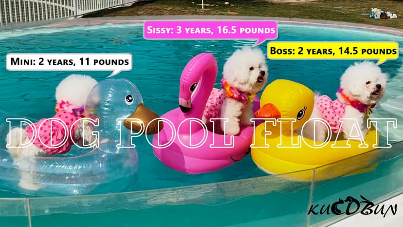 Dog Pool Float, Funny 6-in-1 Inflatable Dog Floats for Pool, Pet Floatie Raft for Small Dogs, Puppy and Doggies, Pink Flamingo