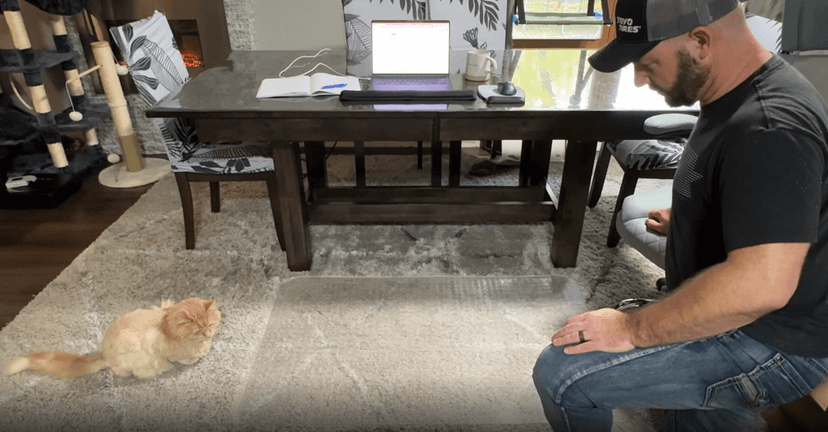Office Chair Mat for Carpets, 48"x 36" Heavy Duty Clear Plastic Floor Protector, Non-Slip Computer Desk Chair Mat for Low Pile Carpeted Floors, Smooth Rolling Carpet Chair Mat for Home Office