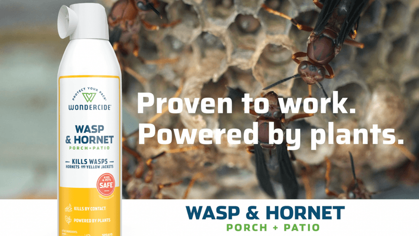 Wondercide - Wasp and Hornet Killer Aerosol Spray with Natural Essential Oils - Kill Wasps, Hornets,and Yellow Jackets - for Porch, Patio, and Outdoor Areas - Pet and Family Safe - 10 oz - 2 Pack