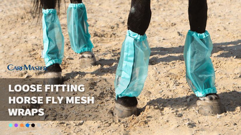 CareMaster Universal Size Horse Leggings Fine Mesh Horse Fly Boots Greatly Reduce Stomping Breathable Horse Boots Leg Wraps (Set of 4) Purple