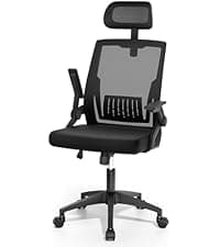 Magshion Ergonomic Office Desk Chair, Mid-Back Mesh Computer Chair, Swivel Chair with Breathable Backrest & Lumbar Support, Adjustable Height for Gaming, Work, Study, 300 Lbs Capacity, Black
