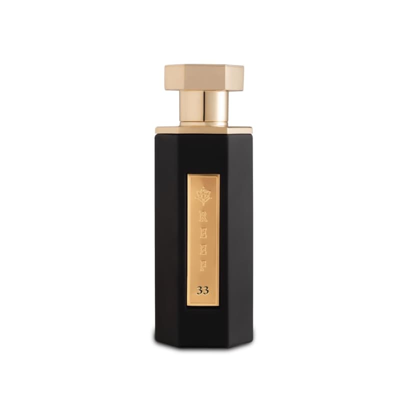 Reef 33 Luxury Unisex Perfume – Eau de Parfum 100ml | Notes of Saffron, Rosemary & Oud | Exotic, Herbal & Deeply Resinous Fragrance | Bold Long-Lasting Arabic-Inspired Scent