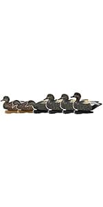 Avery GHG Essential Mallard Duck Decpus - 12 Pack
