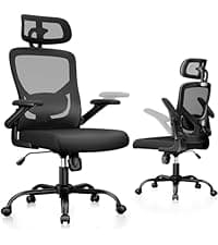 Marsail Ergonomic Mesh Office Chair High Back Home Office Desk Chair with Adaptive Lumbar Support, 2D Headrest, 3D Flip-Up Armrests, Height Adjustable and Rocking Tilt for Home Office and Gaming