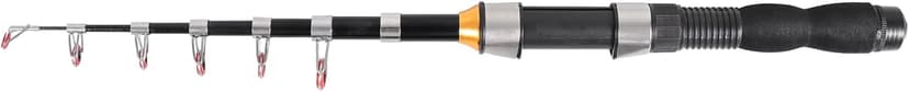 Telescopic Collapsible Extendable Fishing Rod for Saltwater and Freshwater, Lightweight and Compact Design