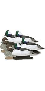 Avery GHG Essential Mallard Duck Decpus - 12 Pack