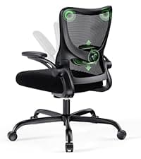 Marsail Ergonomic Mesh Office Chair High Back Home Office Desk Chair with Adaptive Lumbar Support, 2D Headrest, 3D Flip-Up Armrests, Height Adjustable and Rocking Tilt for Home Office and Gaming