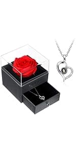 I Love You in 100 Languages Projection Necklace, Preserved Red Rose Flower in Box, Gift for Mother Mom Wife on Anniversary Hicarer Christmas Necklace Gift Girlfriend Women Heart Pendant B08QMKKXNJ