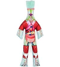 Dammit Doll - Classic Random Color, Stress Relief - Gag Gift - 1 Doll